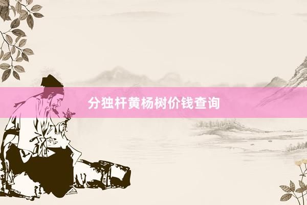 分独杆黄杨树价钱查询
