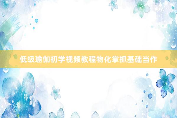 低级瑜伽初学视频教程物化掌抓基础当作